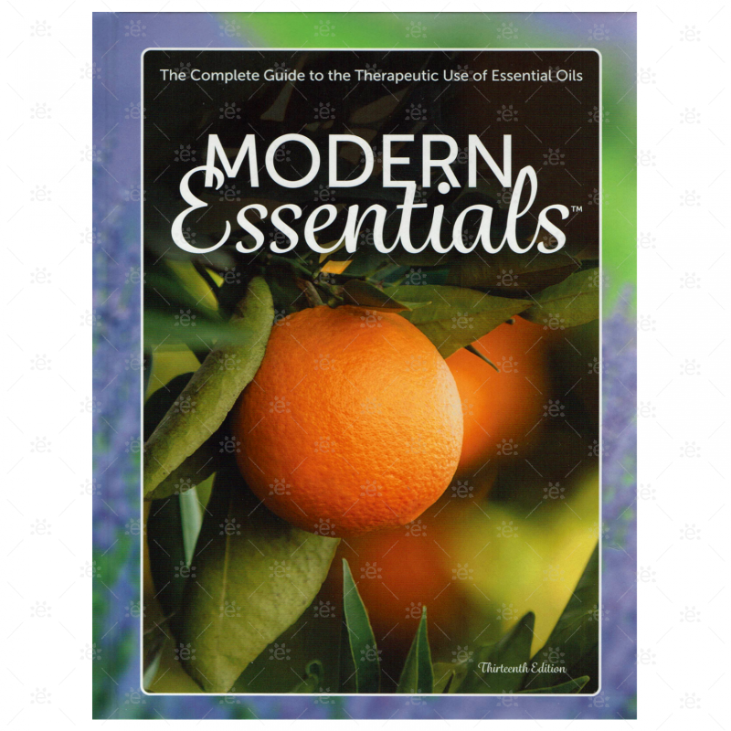 Modern Essentials Book - 13Th Edition (Hardback) Books (Bound)